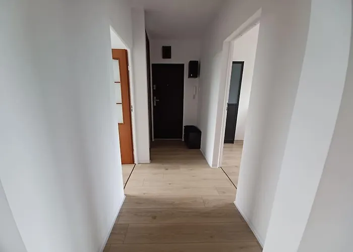 Przestronne M Przyjazne Dzieciom I Zwierzętom Gdynia