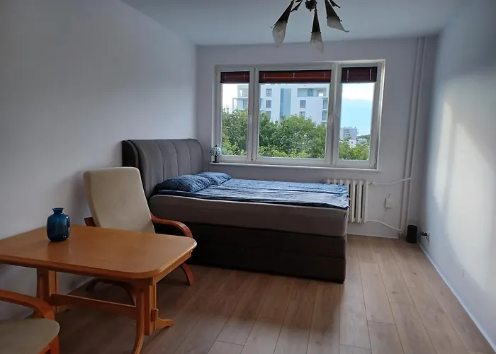 Przestronne M Przyjazne Dzieciom I Zwierzętom Apartament *