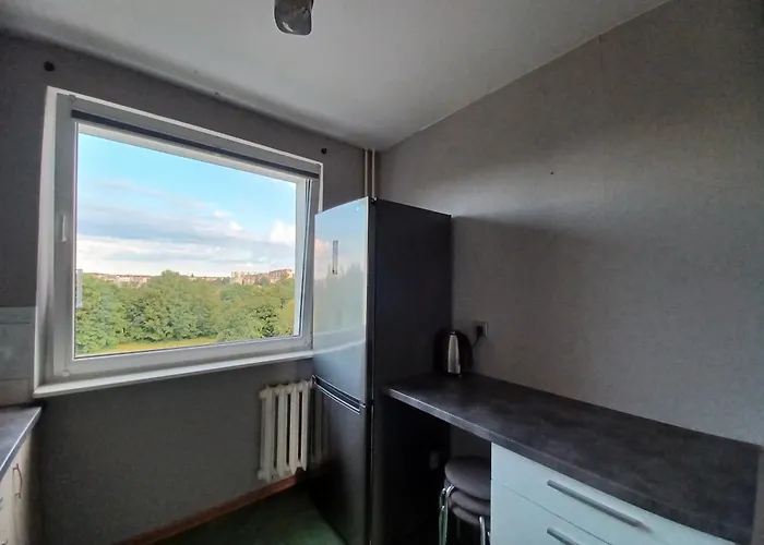 Apartament Przestronne M Przyjazne Dzieciom I Zwierzętom *